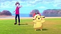 Pokemon Shield + Expansion Pass [Switch, английская версия]