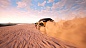 Dakar 18 [PS4, полностью на английском языке]