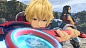 Xenoblade Chronicles: Definitive Edition. Коллекционное издание [Switch, английская версия]
