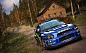 DiRT Rally. Legend Edition [PS4, русская версия]