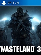 Wasteland 3 [PS4, русские субтитры]