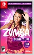 ZUMBA BURN IT UP! [Nintendo Switch, русские субтитры]