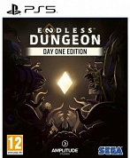 Endless Dungeon[PS5, английская версия]