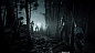 Hunt: Showdown Стандартное издание [PS4, русские субтитры]