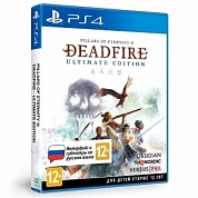 Pillars of Eternity II: Deadfire - Ultimate Edition [PS4, русские субтитры]